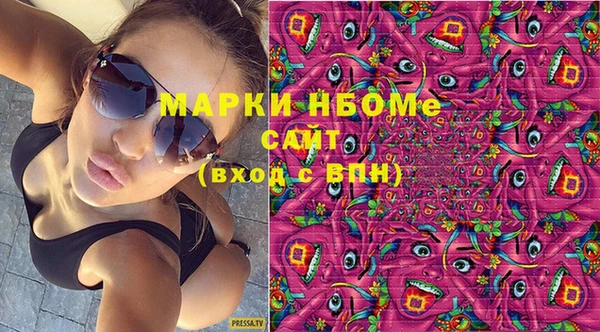 шишки Богородицк