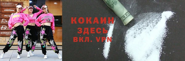 ешки Бородино