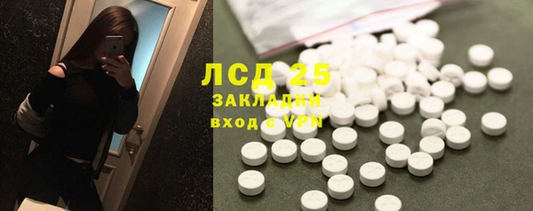 шишки Богородицк