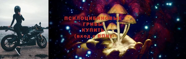 шишки Богородицк
