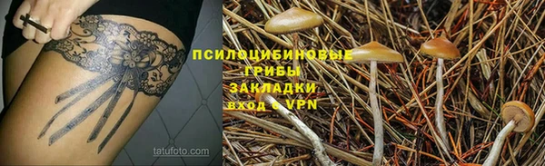 mdpv Пролетарск