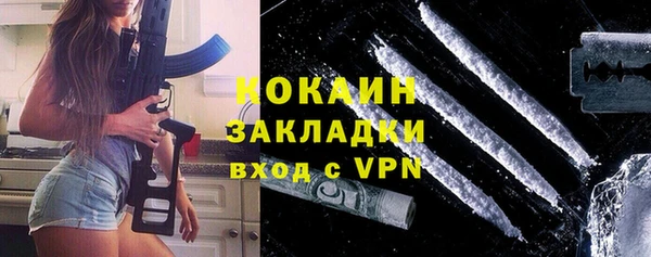 ешки Бородино