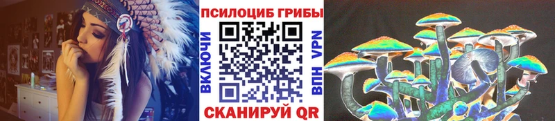 mega как войти Мураши Псилоцибиновые грибы мухоморы купить закладку